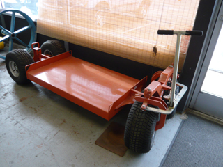 tiigerdolly/P1000638.jpg