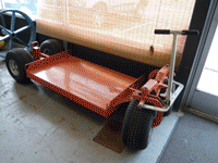 webassets/tiiger1.gif